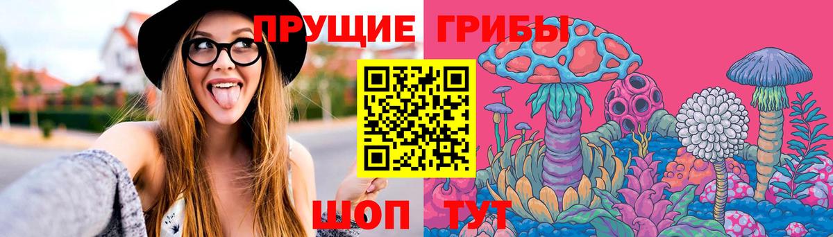 Псилоцибиновые грибы Psilocybe Кандалакша